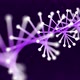 DNA Purple Background - VideoHive Item for Sale