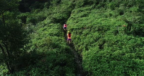 Aerial view of two women  friends  ultramarathon runners running uphill on mountain alt