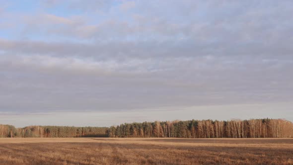 the Beginning of Spring. Clouds Are Floating Over the Field