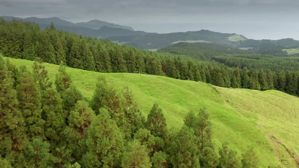 Countryside Area with Domestic Animals in Fields San Miguel Island Azores alt