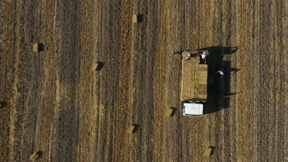Men Load Baled Straw In A Truck  alt