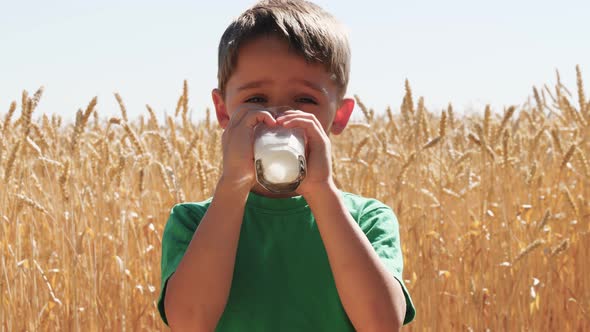 Portrait of a Little Boy. A Happy Child Drinks Milk or Milk Product From a Glass. Proper and Natural alt