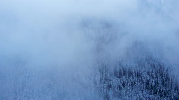 Snow Clouds Covering Mountain Forest in Winter
