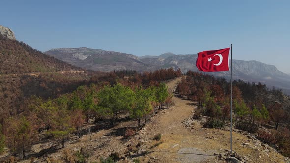 Turkish Flag alt