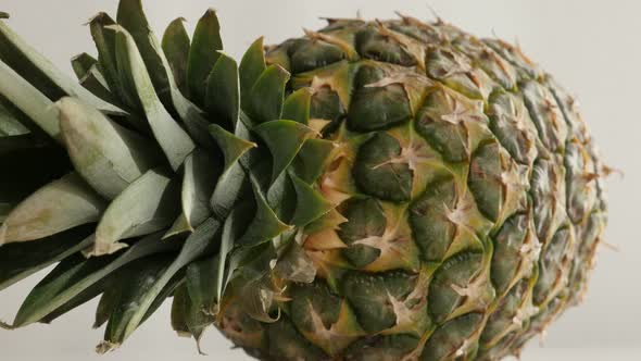 Crown and body of  pineapple  laid down 4K 2160p 30fps UltraHD tilting footage - Slow tilt on  Anana alt