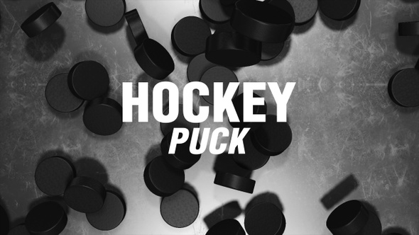 Hockey Puck