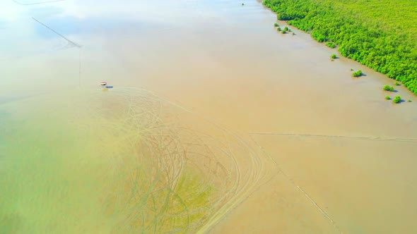 Aerial top view over the mangrove forests along the coast at low tide alt