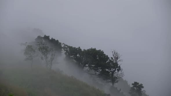 Slow motion landscape view of greenery rainforest mountains on foggy day