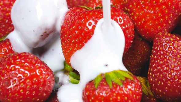 Yogurt Falling on Strawberries