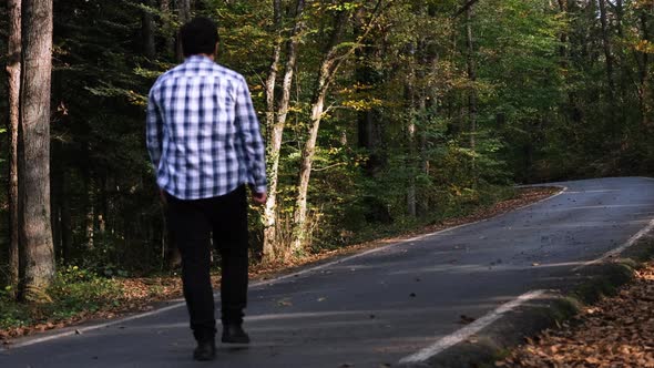 Walking On Forest Path alt