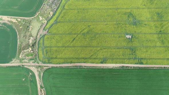 Aerial - Flying sidewards revealing canola fields and interesting patterns in farmland alt