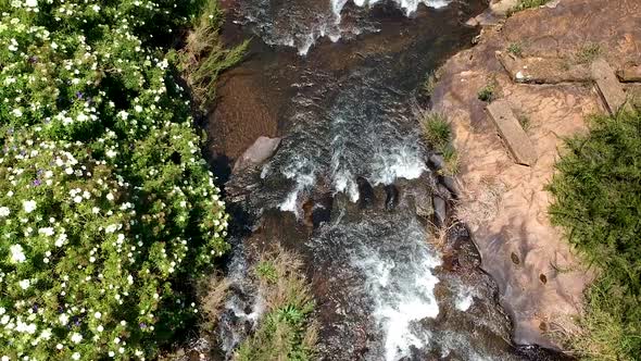 Aerial Drone Shot of A River in The Jungle of South Africa alt