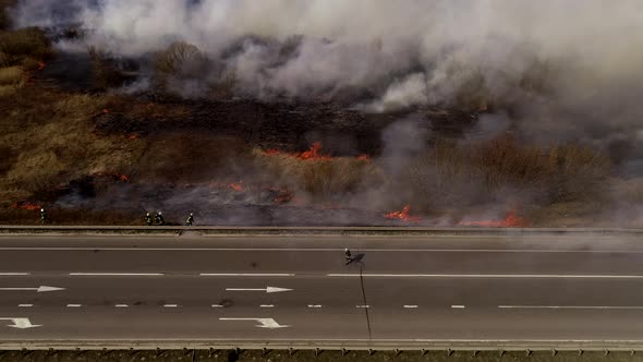 Massive Fire, Dry Grass Lanes in Fire, Firefighters at Work, Disaster, Ecological Catastrophe