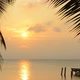 Palm Tree Sunrise Landscape - VideoHive Item for Sale