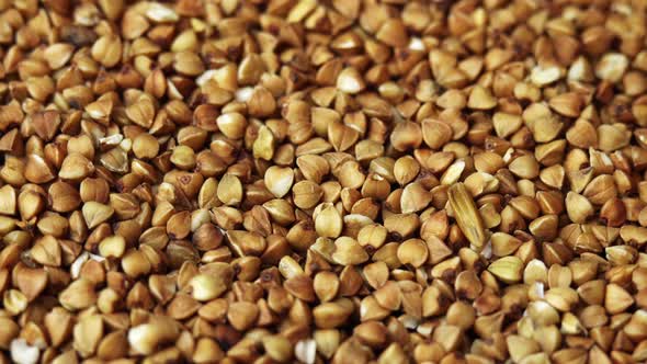 Buckwheat Groats Closeup Rotating As a Restaurant Backdrop Common Buckwheat is Seeds Fagopyrum alt