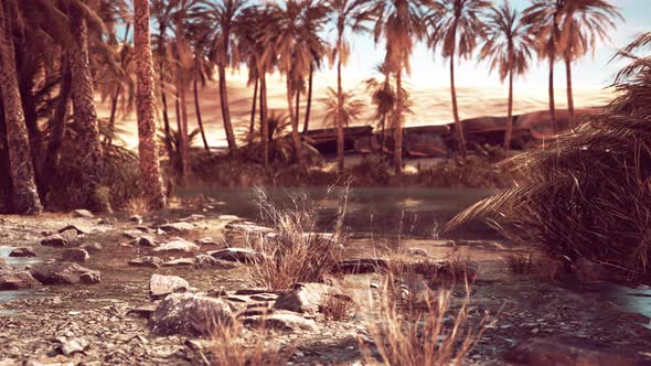 Red Cabbage Ralm and Rugged Sandstone Cliffs Reflected on Water alt