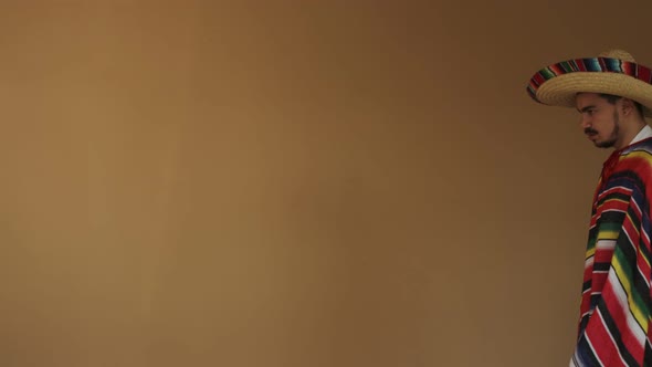 Young Mexican In Multicolored Poncho And Hat alt