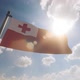 Tonga Flag on a Flagpole V2 - VideoHive Item for Sale
