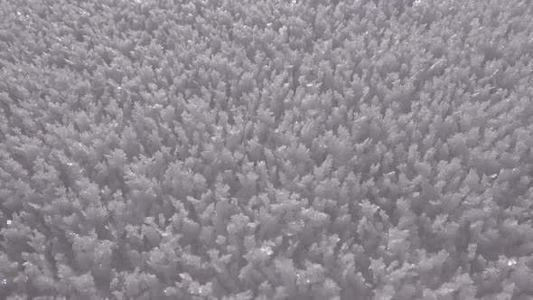 Rime Ice Crystals and Hoar Frost Covered on Untouched Ground alt