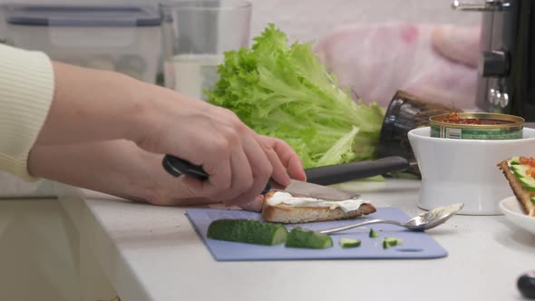 Woman Cooking Festive Dinner in the Kitchen Making Toast with Cucumber and Caviar alt