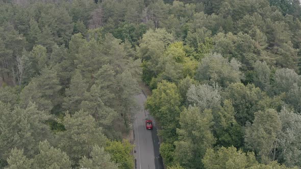 Red Car Driving in Forest 