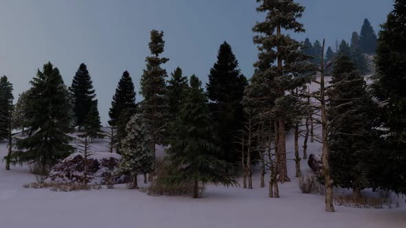 Snowy Forest Hyperlapse alt