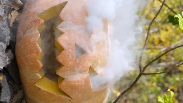 Vertical orientation video: Halloween pumpkin. Theme decorations for Happy Halloween alt