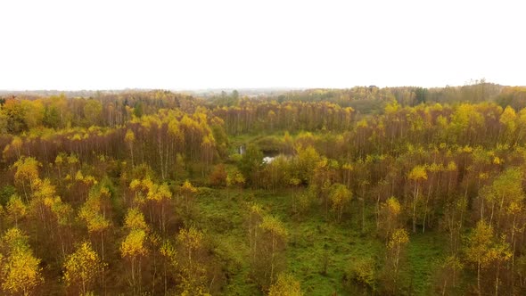 Aerial view of the autumn forest in cloudy weather alt