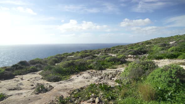 Rocky Ground with Scarce Greenery Growing near Mediterranean Sea in Gozo Island