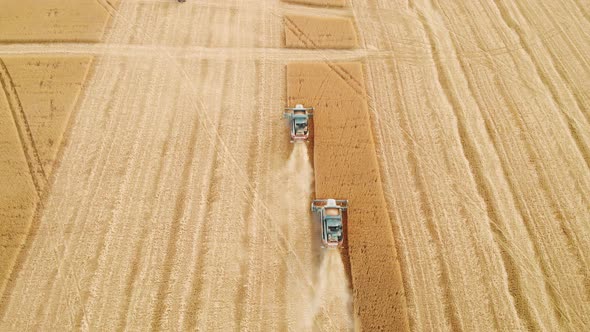 Aerial View on the Harvesters Working on the Large Wheat Field, Harvesting Agricultural Golden Ripe alt