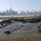 Ras Al Khor Wildlife Sanctuary, Dubai Creek - VideoHive Item for Sale
