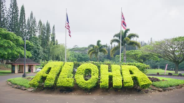 Green Outdoor Park ALOHA Hawaii Island Summer Vacation Dream Trip Concept Shot alt