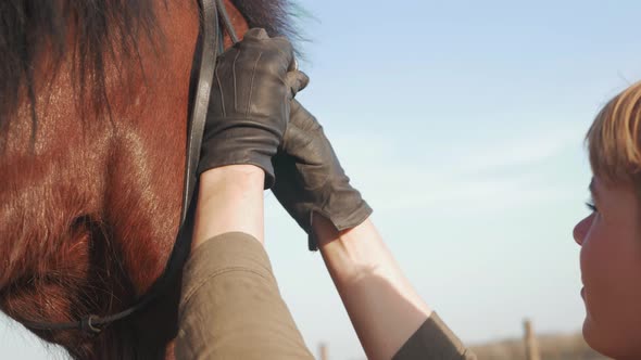 Woman Fastens Belt on Bridle of Horse Preparing for Rental