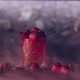 Cocktail with Strawberry and Smoke - VideoHive Item for Sale