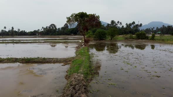 Move toward a dry tree alt