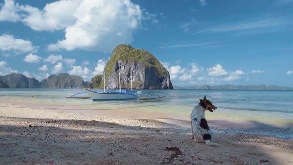 El Nido. A Dog on the Beach in Front of Local Boat on Shore with Pinagbuyutan Island in Background alt