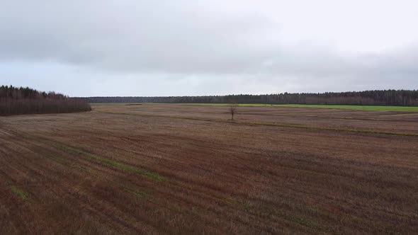 Aerial view over a harvested field in late autumn alt