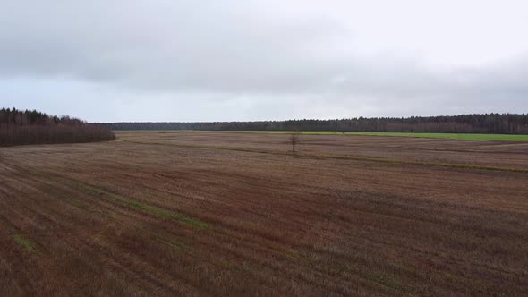 Aerial view over a harvested field in late autumn