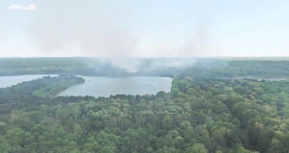 Panorama Aerial View of Forest Fire Burning Branches Trees Near Pond alt