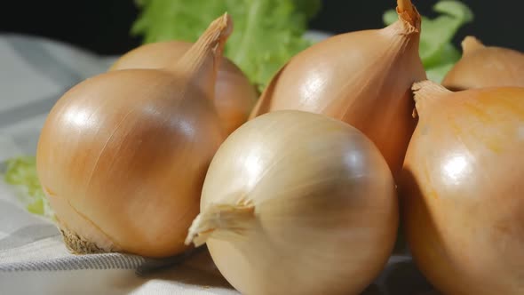 Many Large Golden Onion Heads Spinning Against a Background of Green Lettuce Leaves. Eco Products