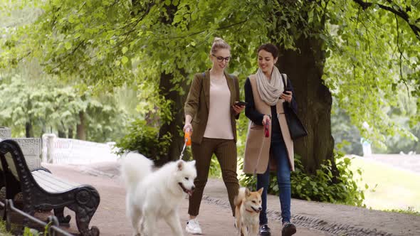 Female Dog Owners Using Devices in Park alt