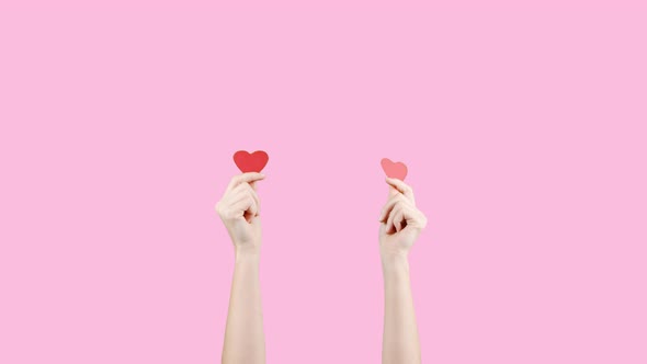 Female Blogger Hold in Hands Little Red Hearts on Pink Background alt