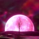 The Diamond Tree Blossoms Against the Backdrop of the Moon - VideoHive Item for Sale