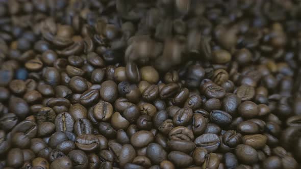 Coffee Grains Fall On Other Coffee Beans 3