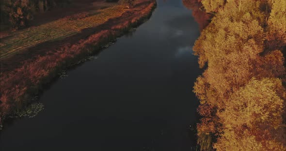 Aerial View Copter Flies Over the Big River Reeds and Grass Along the River