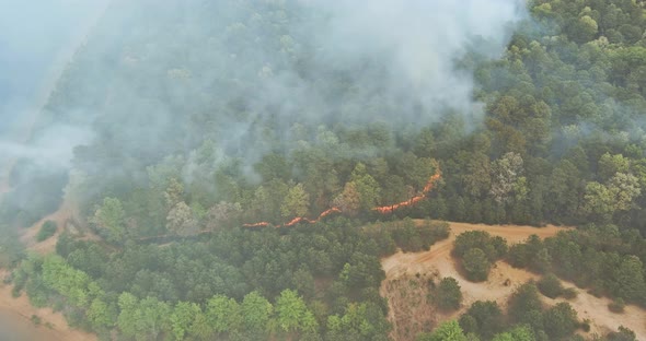 Forest in California with panoramic aerial wildfire is burning trees smoke fire dry grass alt