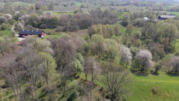 Area Famous for Wild Cherry Blossom Trees Vallevagen Vastergotland Aerial