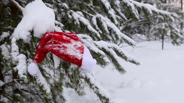 Santa Claus Hat Hanging on Winter Christmas Tree