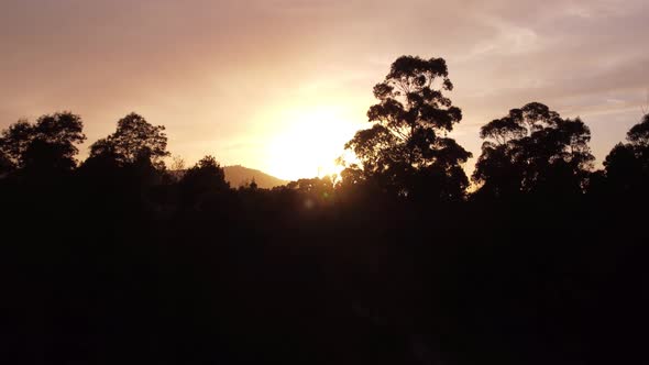 Aerial Forest Sunset 4K 02 alt