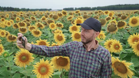 Countryside Man Farmer Standing in a Field of Sunflowers and Takes Selfie Pictures on a Smartphone alt